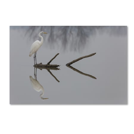 Trademark Fine Art Mauro Montuori 'Reflections' Canvas Art, 16x24 1X02793-C1624GG